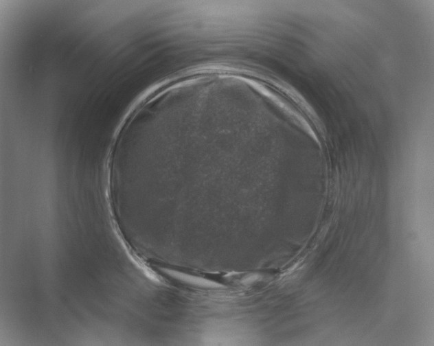 X0000074040862200609181951