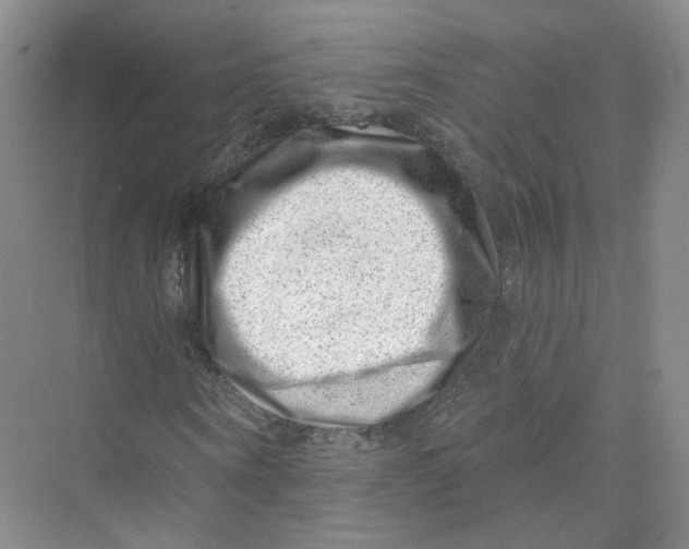 X0000074040866200609181950