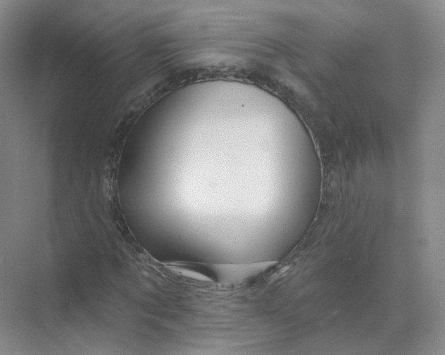 X0000074040869200609181950