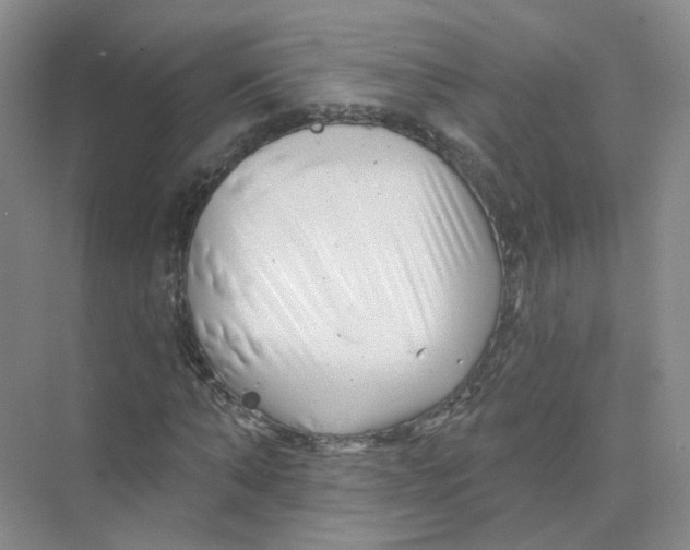 X0000074040870200609181950