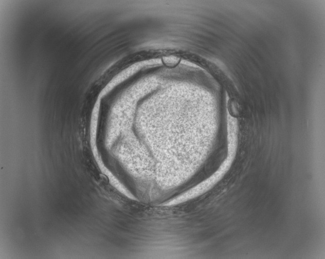 X0000074040871200609181950