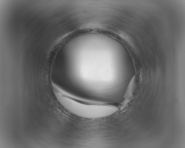 X0000074040872200609181950