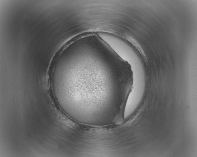 X0000074040876200609181950