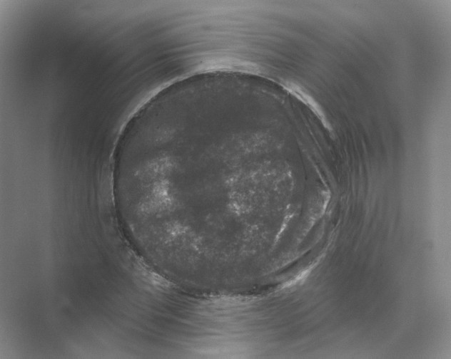 X0000074040877200609181950