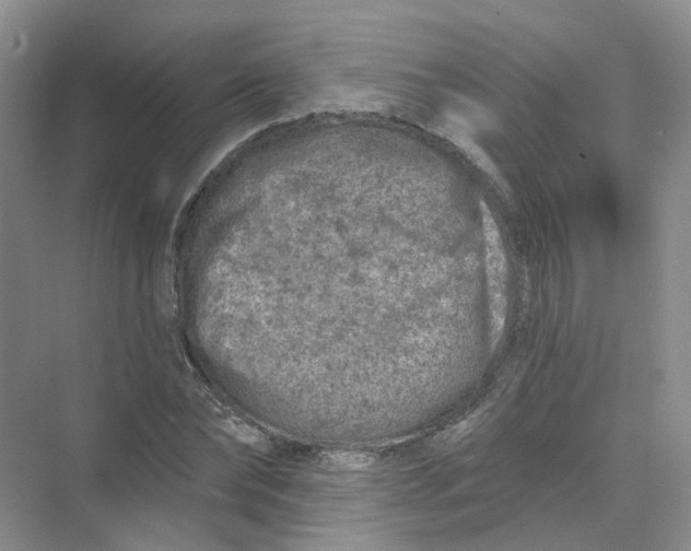 X0000074040878200609181950