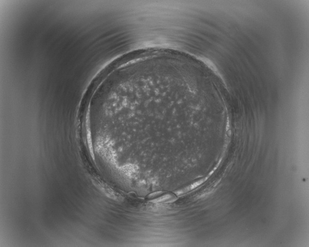 X0000074040879200609181950