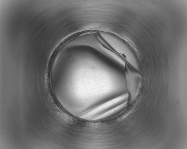 X0000074040880200609181950