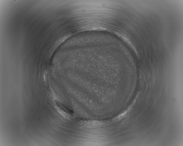 X0000074040881200609181950