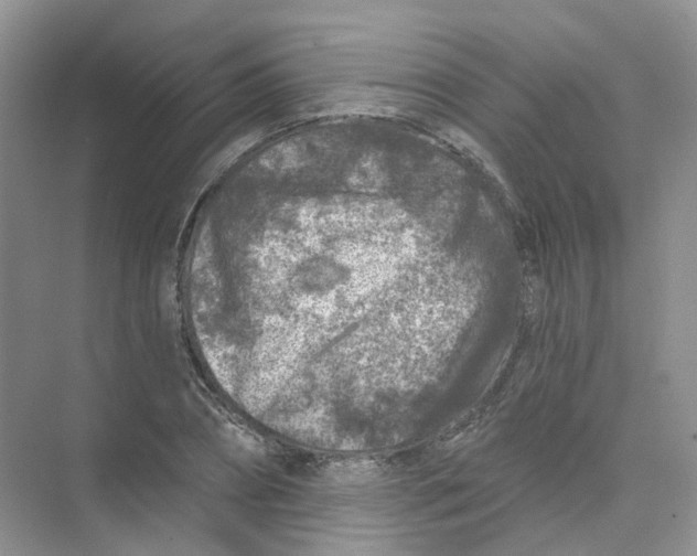 X0000074040882200609181950