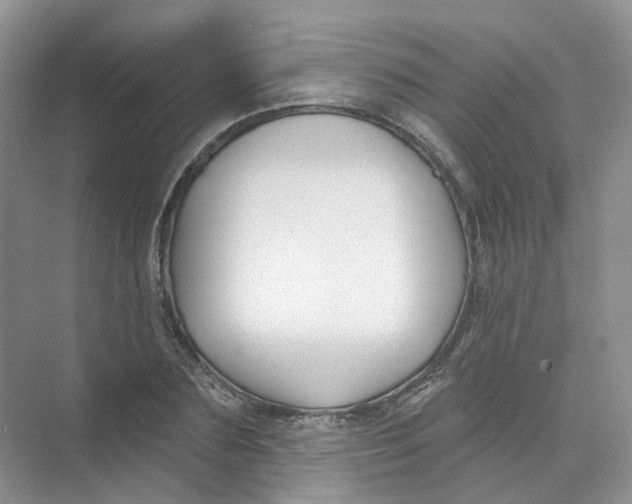 X0000074040883200609181950