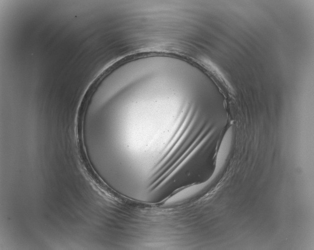 X0000074040884200609181950