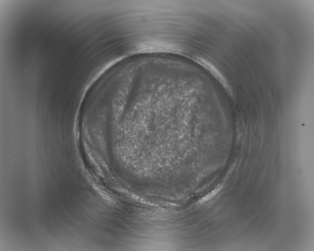 X0000074040885200609181950