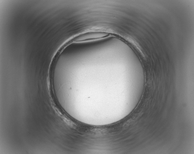 X0000074040888200609181949