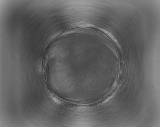 X0000074040889200609181949