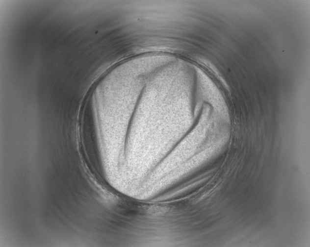 X0000074040890200609181949