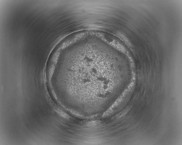 X0000074040891200609181949