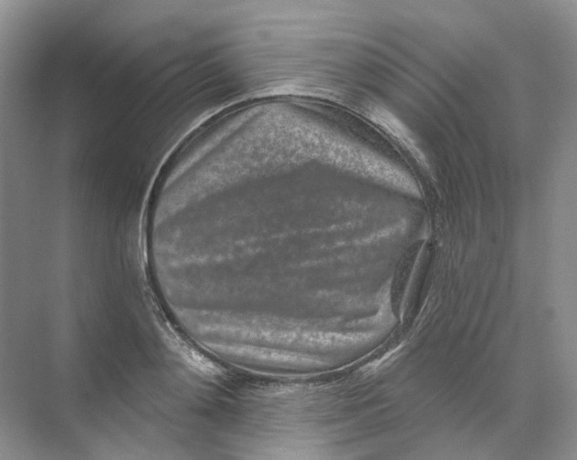 X0000074040892200609181949