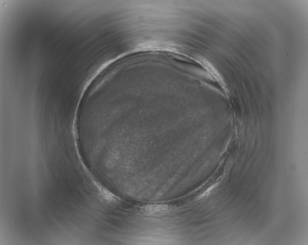 X0000074040893200609181949