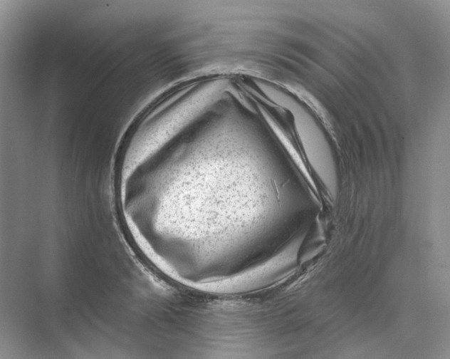 X0000074040894200609181949