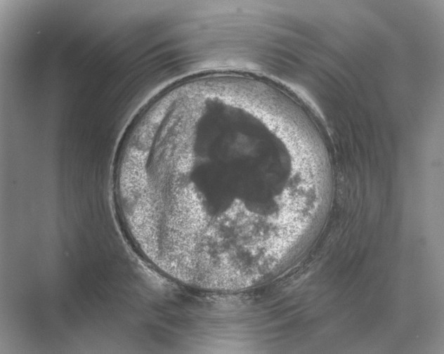 X0000074040895200609181949