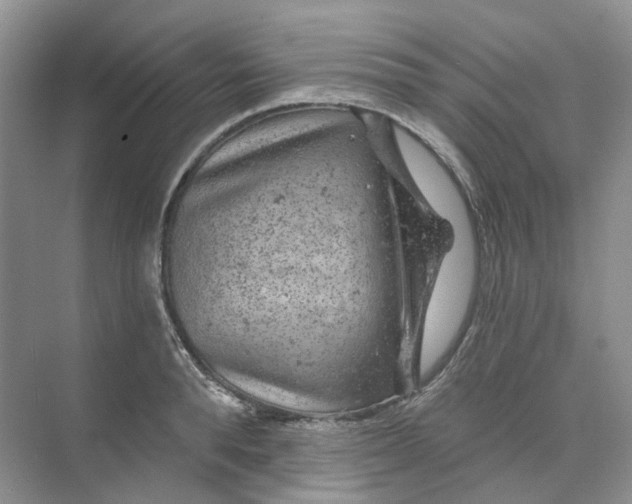 X0000074040896200609181949