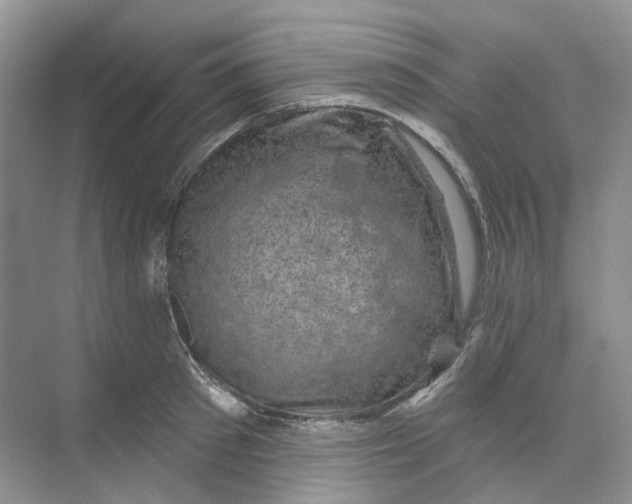 X0000074040897200609181949