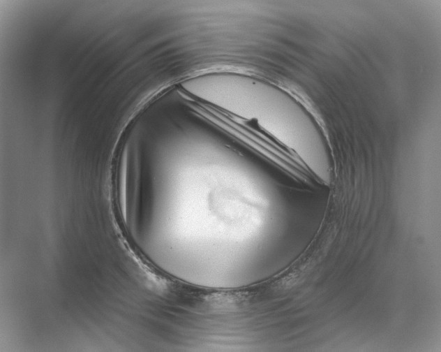 X0000074040898200609181949