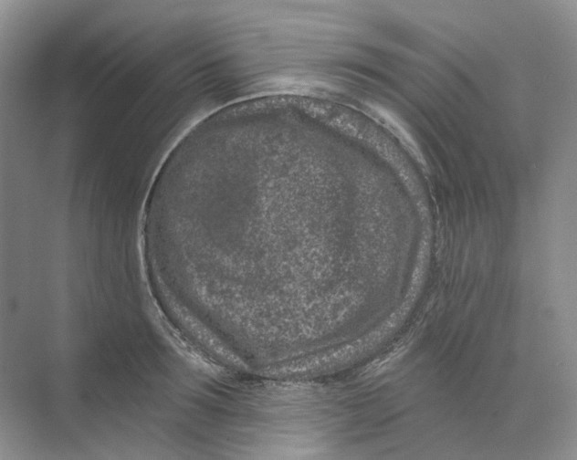 X0000074040899200609181949