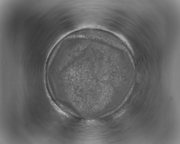 X0000074040903200609181949