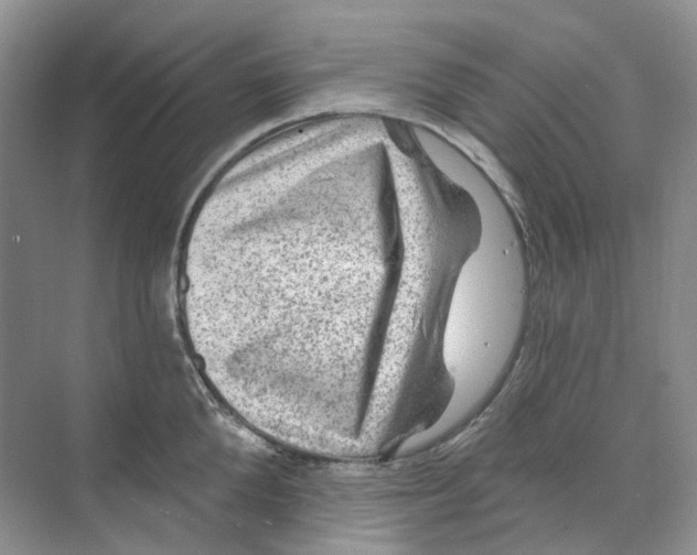 X0000074040904200609181949