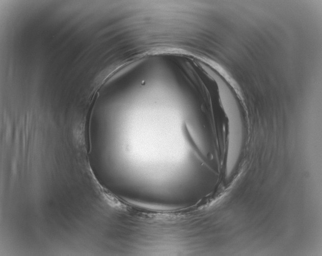 X0000074040905200609181949