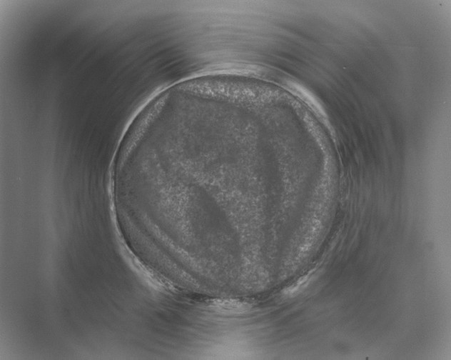 X0000074040907200609181949