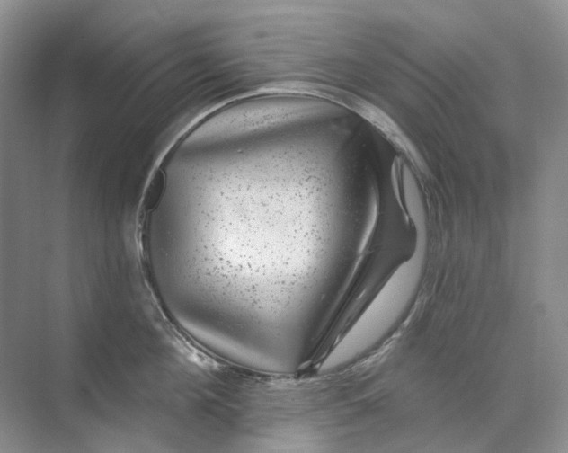 X0000074040908200609181949