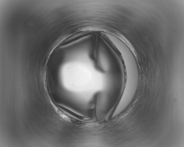 X0000074040909200609181949