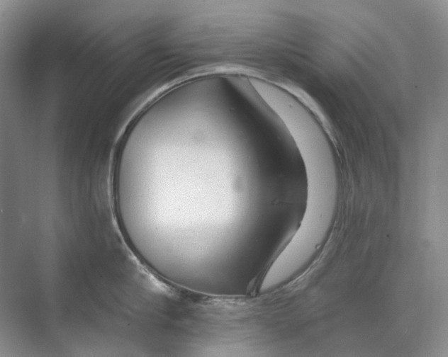 X0000074040910200609181949