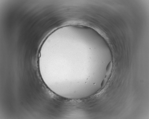 X0000074040912200609181949