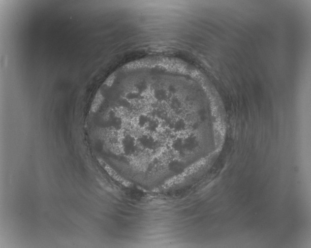 X0000074040913200609181948