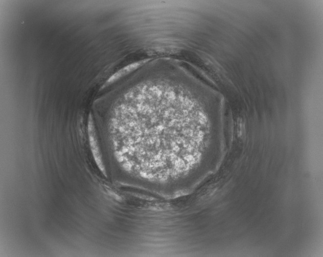 X0000074040915200609181948