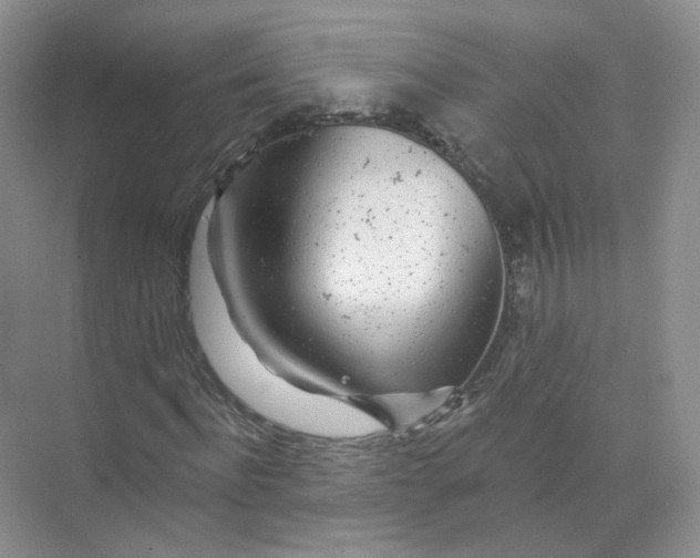 X0000074040916200609181948