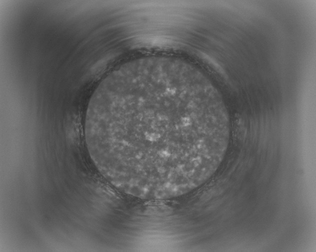 X0000074040918200609181948