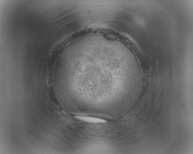 X0000074040919200609181948