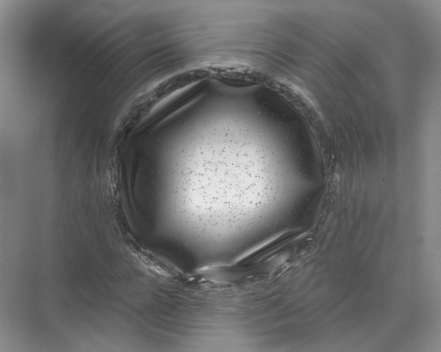 X0000074040920200609181948