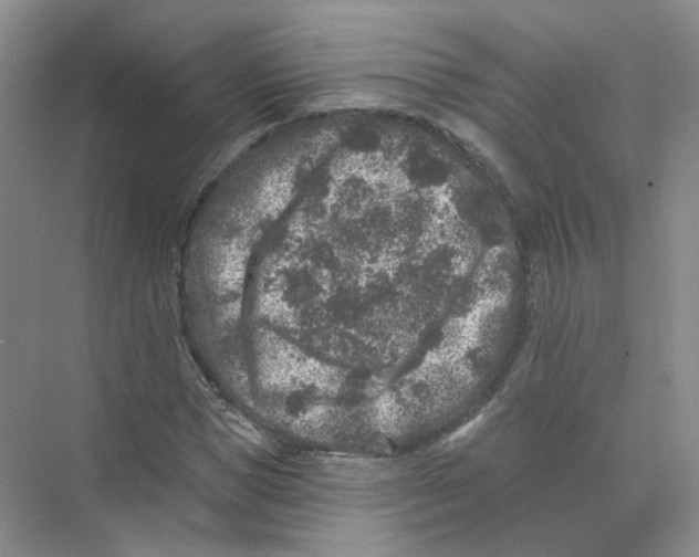 X0000074040921200609181948