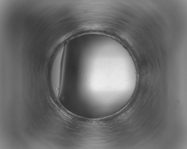 X0000074040922200609181948