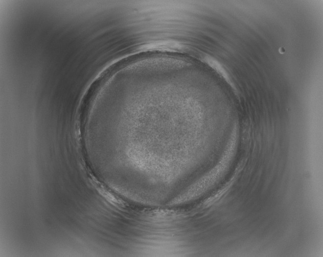 X0000074040923200609181948