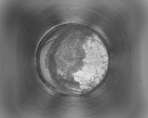 X0000074040924200609181948