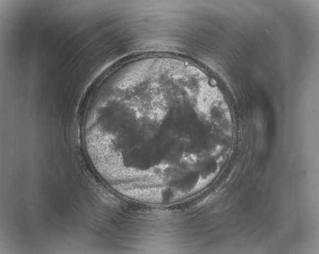 X0000074040925200609181948