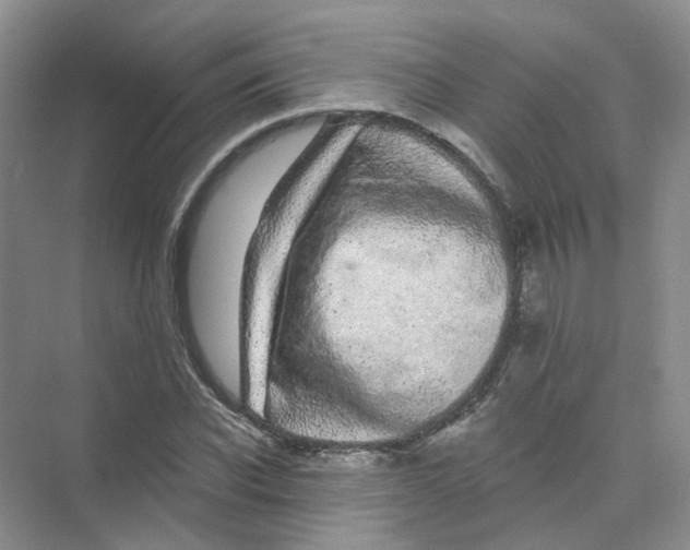 X0000074040926200609181948