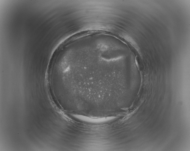 X0000074040928200609181948