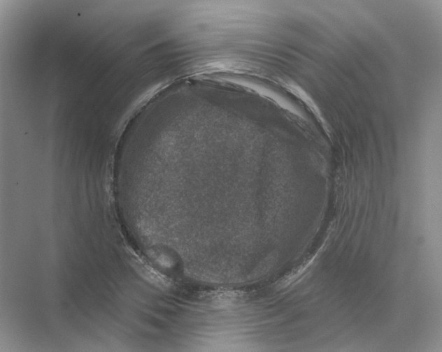 X0000074040930200609181949